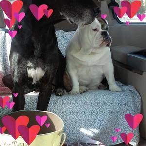 Meet your Posher, Kimberlee